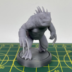 Picture of print of Slaad (Gray)  - Tabletop Miniature