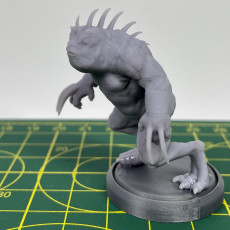 Picture of print of Slaad (Gray)  - Tabletop Miniature