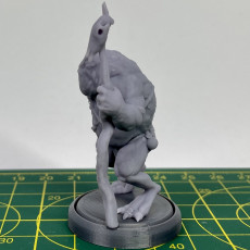 Picture of print of Slaad (Green)  - Tabletop Miniature