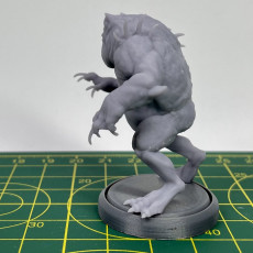 Picture of print of Slaad (Red)  - Tabletop Miniature