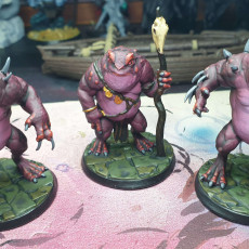 Picture of print of Slaad (Red)  - Tabletop Miniature