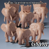 6mm Wild & War Elephants image