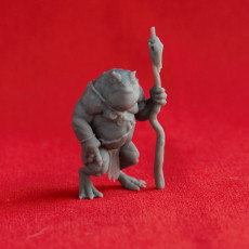 Picture of print of Slaad (Green)  - Tabletop Miniature (Pre-Supported)