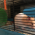 Hamster cage clips image