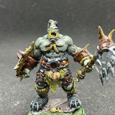 Picture of print of Orcs - Mercenaries of the Void - COMPLETE PACK