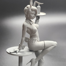 Picture of print of 18K Anatomy - Bunny Girl This print has been uploaded by Nutshell atelier