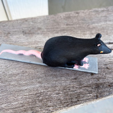 Picture of print of Rat Post it and pen holder This print has been uploaded by Philippe Barreaud