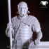 Roman Praetorian Guard 1st-2nd C. A.C. on duty! image