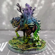 Picture of print of Swamp Darr Mushroomancer
