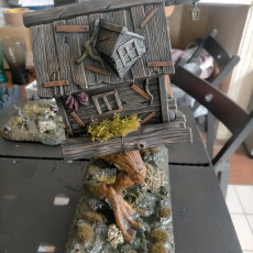 Picture of print of Swamp Terrain Witch Hut