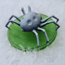 Picture of print of Spider This print has been uploaded by King Virr Design