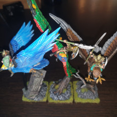 Picture of print of Hawk Riders