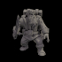 Free Private Dwarf Soldier image