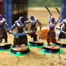 Picture of print of Wracked Warriors With Acolyte Leader - Cursed Elves