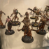 Wracked Warriors With Acolyte Leader - Cursed Elves print image