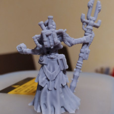 Picture of print of Cyborg lich This print has been uploaded by Benjamin Kanton