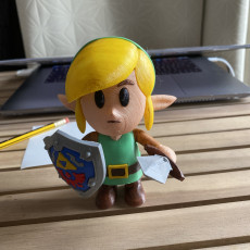 Picture of print of Link from Link's Awakening game- Multicolored