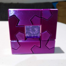 Picture of print of Tsugite Cube 2x2 Puzzle This print has been uploaded by Gael