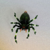 Giant Spiders Pack. print image