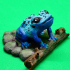Poison Frog image