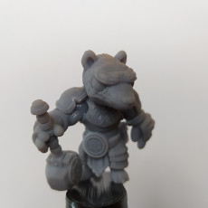 Picture of print of Badger Cleric  (Pre-supported included) This print has been uploaded by Tomasz Agurczuk