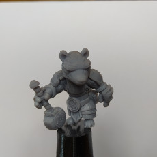 Picture of print of Badger Cleric  (Pre-supported included) This print has been uploaded by Tomasz Agurczuk