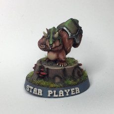 Picture of print of Blood Bowl Squirrels This print has been uploaded by Anders Årman