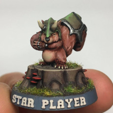Picture of print of Blood Bowl Squirrels This print has been uploaded by Anders Årman