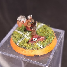 Picture of print of Blood Bowl Squirrels This print has been uploaded by Hayden