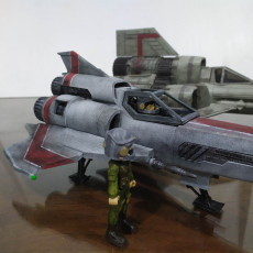 Picture of print of Colonial Viper This print has been uploaded by Minhad Setiawan