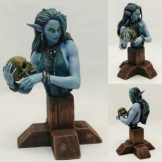 Picture of print of Laedria the Necromancer bust pre-supported This print has been uploaded by Klopi