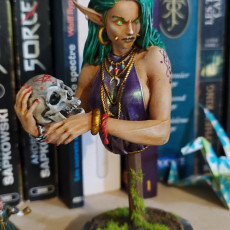 Picture of print of Laedria the Necromancer bust pre-supported