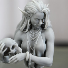 Picture of print of Laedria the Necromancer bust pre-supported This print has been uploaded by Steve Smith