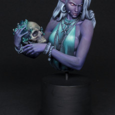 Picture of print of Laedria the Necromancer bust pre-supported This print has been uploaded by Kara Nash