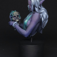 Picture of print of Laedria the Necromancer bust pre-supported This print has been uploaded by Kara Nash