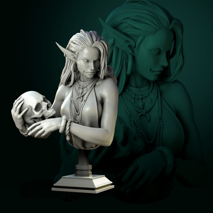 $4.50Laedria the Necromancer bust pre-supported