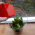 Cube watering can image