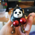 panda boxer image