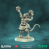 January Release - Pi'Rats Support Staff image