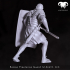 Bundle - Roman Praetorian Guard 1st-2nd C. A.C. In Action! image