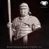 Bundle - Roman Praetorian Guard 1st-2nd C. A.C. on Duty! image