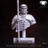 Bundle - Roman Praetorian Guard 1st-2nd C. A.D. on Duty! image
