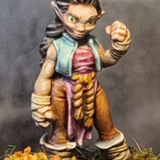 Picture of print of Gnome - Gabby the Scrappy Gnome Monk