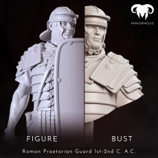 SPQR - Roman Figures and Busts