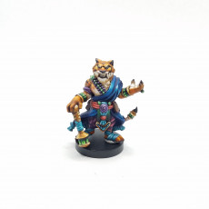 Picture of print of Tabaxi - Cheshire Cat as a Tabaxi (part of a future Tabaxi set)