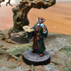 Picture of print of Firbolg Cleric This print has been uploaded by Mick O'Sullivan