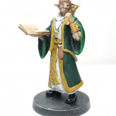 Picture of print of Firbolg Cleric