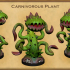 Carnivorous Plant image