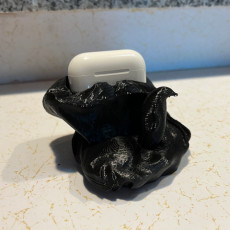 Picture of print of Antartica Airpods holder