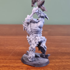Picture of print of Frostmetal Clan Orc - Modular A
